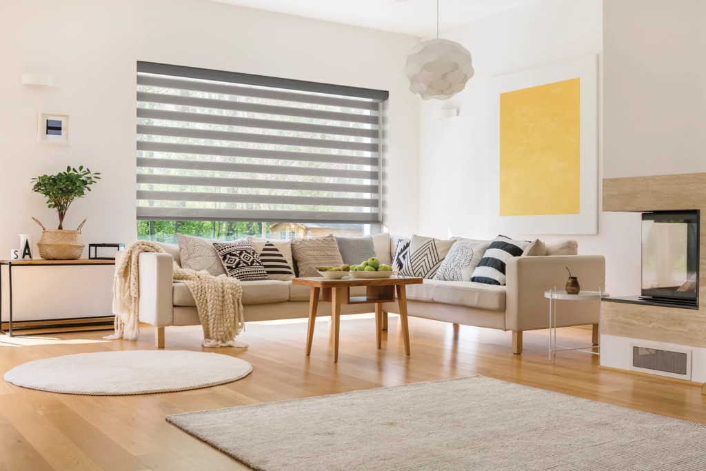 Unique window shades