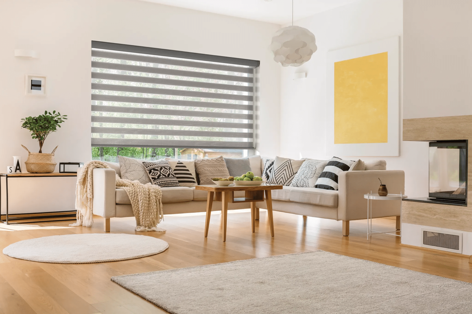 Unique window shades