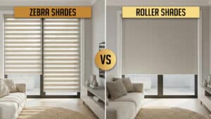 Zebra Shades vs Roller Shades
